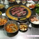 왕마포갈매기 이미지