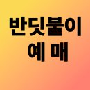 반디마을 | 제주 산양큰엉곶 반디마을탐방 (네이버 예메)