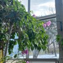 한밭수목원 | 한밭수목원 후기