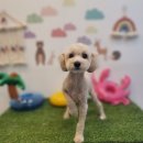 멍언니 쌀롱 이미지