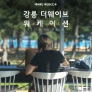 어디로 떠날까? 마루민들이 직접 전하는 강릉, 곡성, 제주 워케이션 숙소 후기!