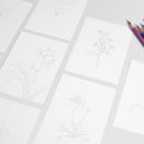 보태니컬 아트(기초) 이미지