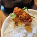 닭돌이와닭순이 이미지