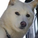 이지스PC방 이미지