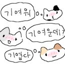 팔도강산노래방 이미지