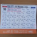 중부-현장-중부-1400 | [충남 보령] 보령 가볼만한 곳 군헌갯벌체험장 조개 캐기 물때 정보 준비물