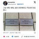 세탁갤러리 이미지