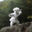 해바라기식당 이미지