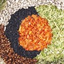 샘양지마을 이미지