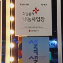 더 해도(The haedo)