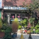 해동세탁소 | 언니 생일 기념 수원 화성 드라이브 | 소품샵 구경 · 규카츠 정식 · 로스터리 카페 아우토그라프커피...