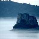 복생도 Daum카페