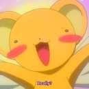 79 파운야드 이미지