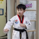 ACE 태권도장 이미지