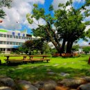 전남지체장애인협회 곡성군지회 이미지