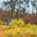 농원농장 이미지