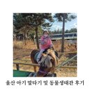 &lt;울산 아기랑 체험&gt; 테마식물수목원에서 말타기 및 동물생태관 파충류 체험 솔직후기