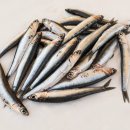 연이슈퍼 이미지