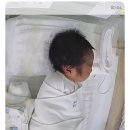 테스김밥 | 수원 용인 디엘린 산후조리원 가격 모자동실 첫째 면회 편하게 산후조리 중!