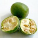 몽크 과일(일명 스님 과일) Monk fruit 이미지