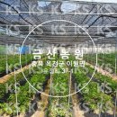 태산방제