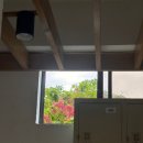 동남슈퍼마켓 | [보홀여행] 2박 4일; 눈뜨면 바다로 🤿🫧🏖️ (2) John 나팔링, 미티리조트 Edward 스노쿨링