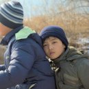 장률 카카오 검색결과