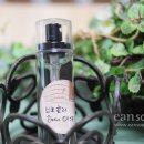브로컬리헤어 이미지