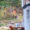 준기농장 이미지