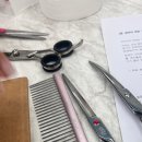 봉쥬르 밀크숑 이미지