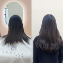 붙임머리 이미지