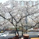 투썸플레이스울산삼산현대점 이미지