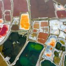 바얀불락 이미지