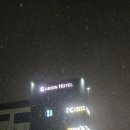 개비온호텔 | [충남 서천] 서천 개비온 호텔 리얼 후기! 가성비도 잡고 쾌적한 힐링까지 이게 가능?