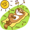 최정의농장 | 발리 여행후기, 지상 낙원 체험기!