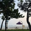 동막해변 동막해수욕장 초보도 쉽게 가능한 노지캠핑 비법