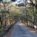 합천 - 오도산(吾道山:1,134m)을 차량과 도보 산행 이미지