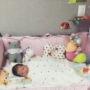 도담플라워 이미지