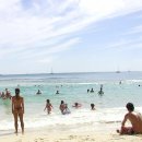 와이키키 이미지