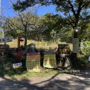 상순이 쉼터 이미지