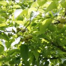 원산농장 이미지