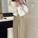 프레누 이미지
