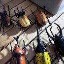 붉은오름자연휴양림3 이미지