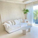 폴인럽제주 이미지