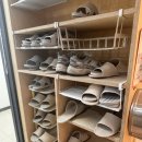 분당로 | 분당 고양이카페 서현역 "못말리는 고양이" 후기