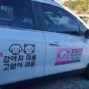 데이지꼼 이미지