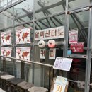 [강남 역삼역] 친절한 커피 장인의 &lt;알렉산디노 강남역점&gt; + 카이막 추천후기
