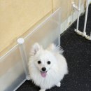 단대로16번길 이미지