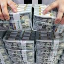 1451 오피니언뉴스