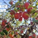 기범농장 이미지